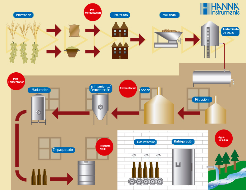 Proceso elaboración cerveza